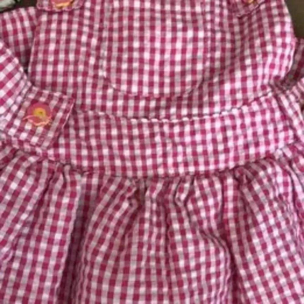 Dog Dress Smoochie Pooh Pink Overall checkered